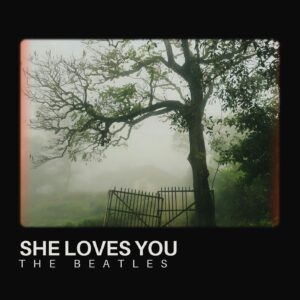 SF1107620 – The Beatles – She Loves You