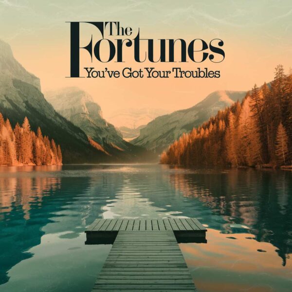 The Fortunes - You've Got Your Troubles