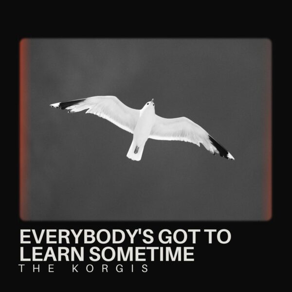 The Korgis - Everybody's Got to Learn Sometime