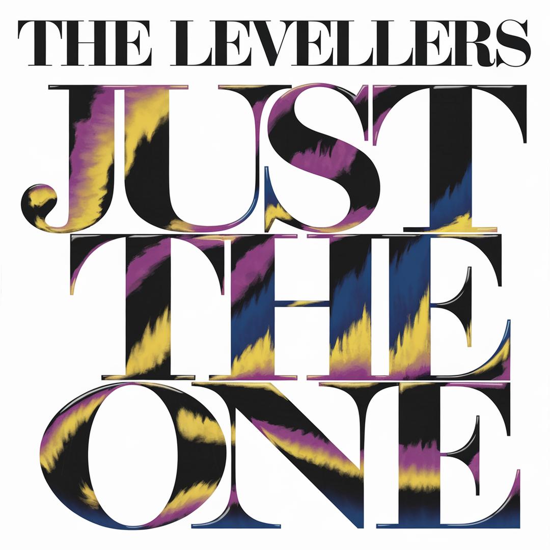The Levellers - Just The One