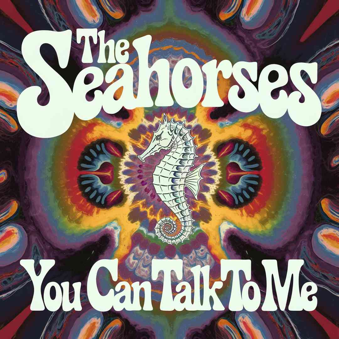 The Seahorses - You Can Talk To Me