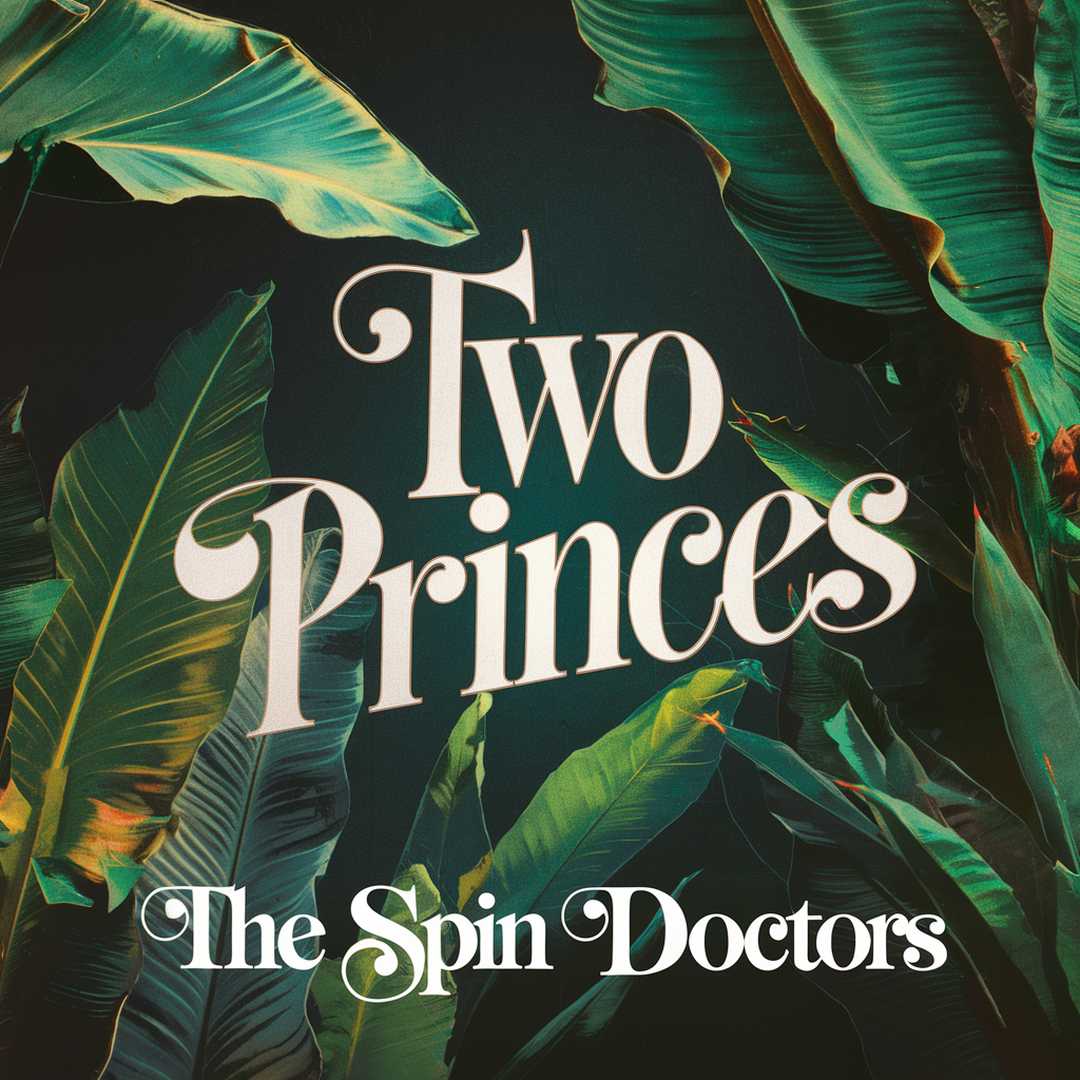 The Spin Doctors - Two Princes