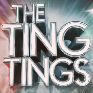 SF1108298 – The Ting Tings – Great DJ