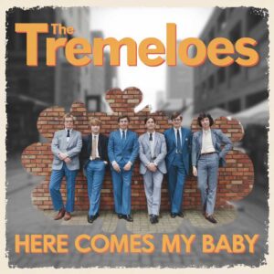 SF1108308 – The Tremeloes – Here Comes My Baby