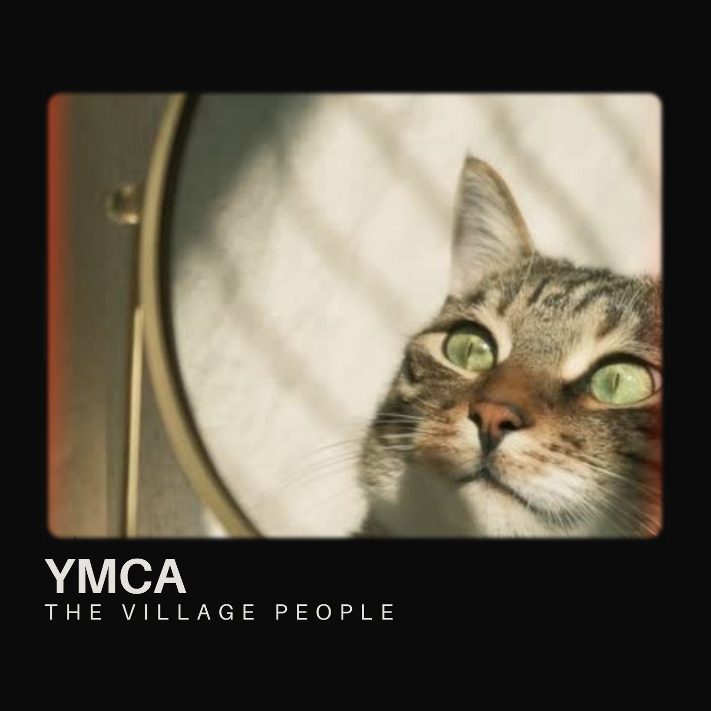 The Village People - YMCA