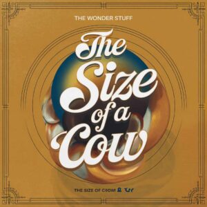 SF1108384 – The Wonder Stuff – The Size Of A Cow