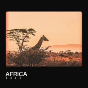 SF1108590-Toto-Africa-Artwork