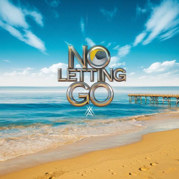 Wayne Wonder - No Letting Go