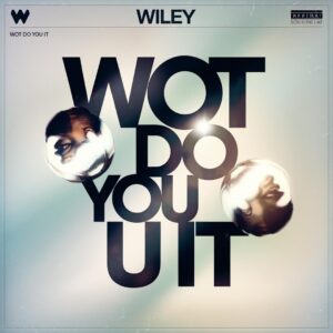 SF1108976 – Wiley – Wot Do You U Call It