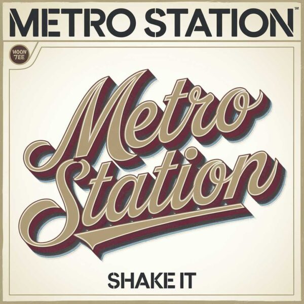 Metro Station - Shake It