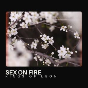 SF1109254 – Kings Of Leon – Sex On Fire