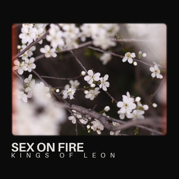 Kings Of Leon - Sex On Fire