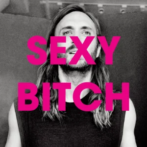 SF1110010-Sexy-Bitch-David-Guetta-_-Chris-Willis-Feat.-Fergie