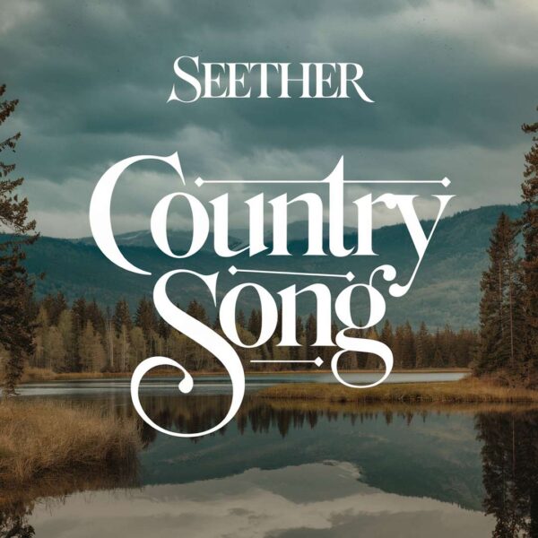 Seether - Country Song