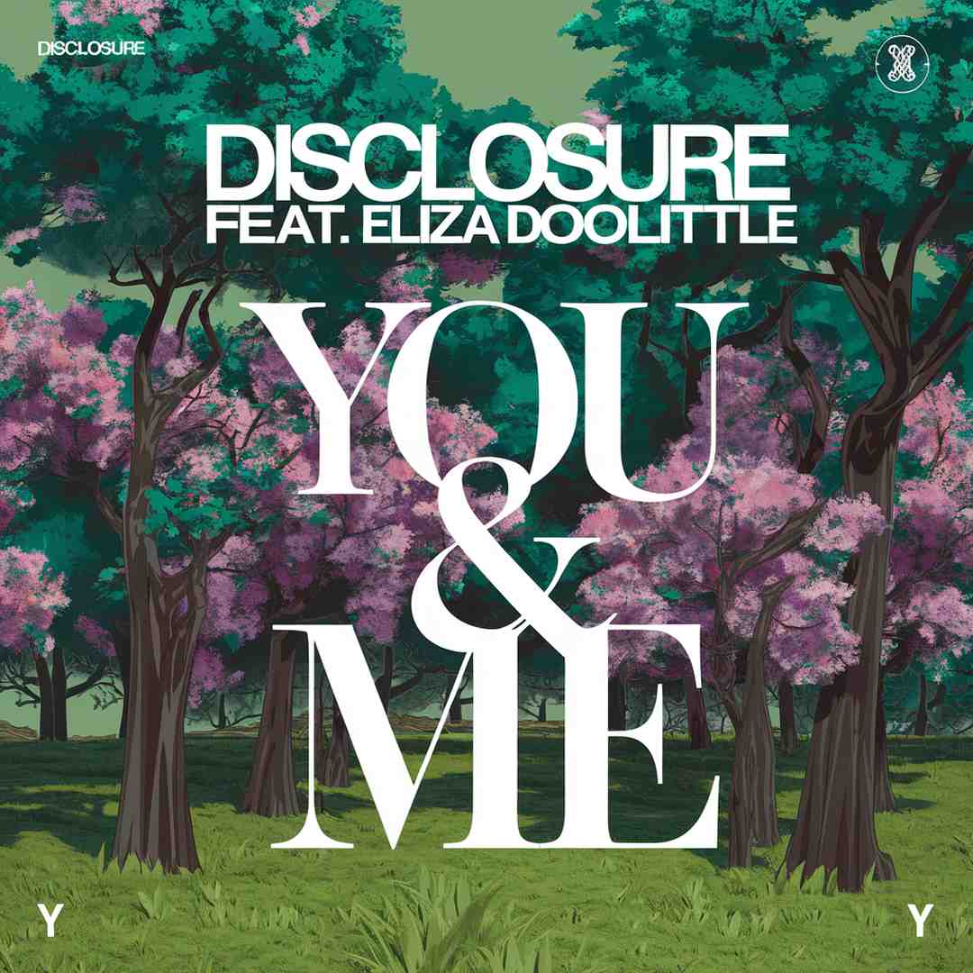 Disclosure - You & Me