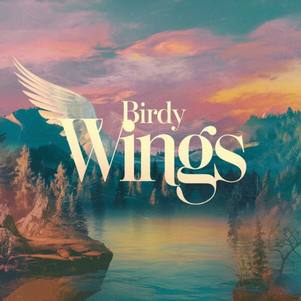 Birdy - Wings