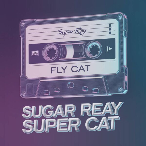 Sugar Ray - Fly
