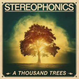 SF1114630 – Stereophonics – A Thousand Trees