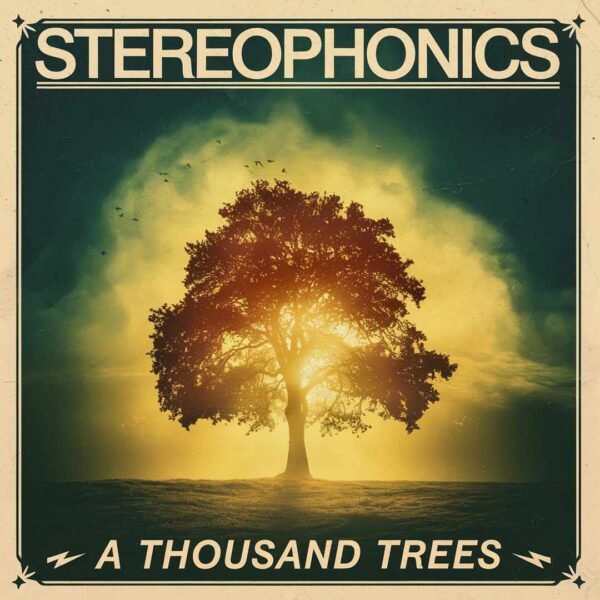 Stereophonics - A Thousand Trees
