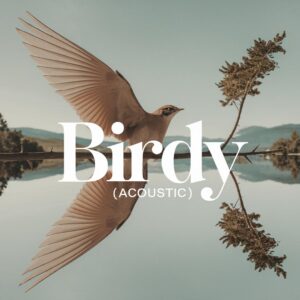 SF1115324 – Birdy – Wings (Acoustic)