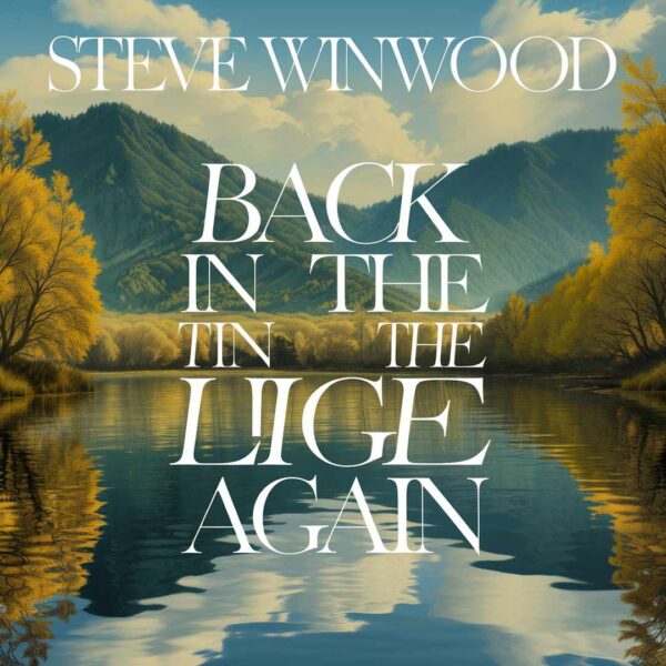 Steve Winwood - Back In The High Life Again