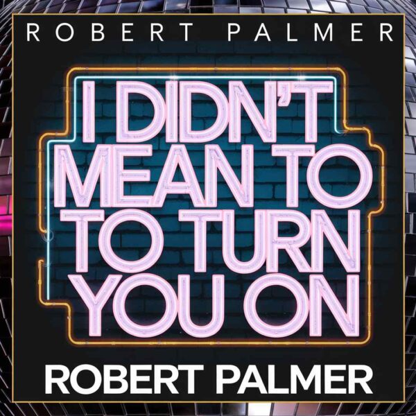 Robert Palmer - I Didn't Mean To Turn You On