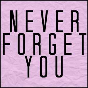 SF1115543-MNEK-_-Zara-Larsson-Never-Forget-You