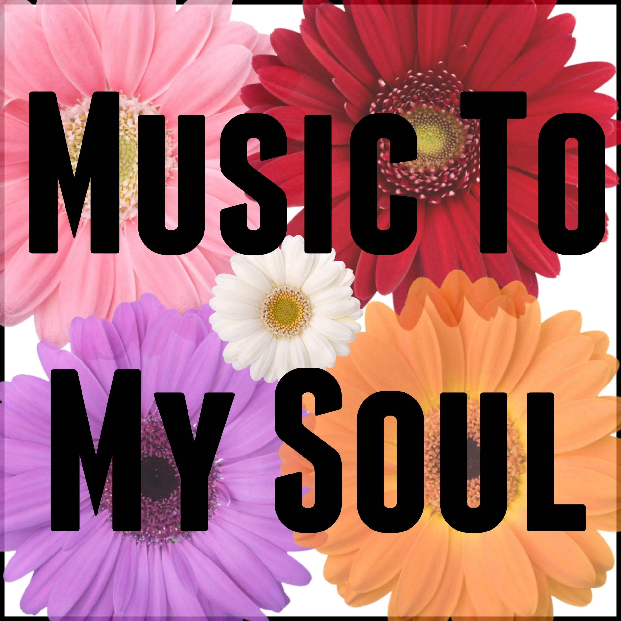 CeeLo Green - Music To My Soul