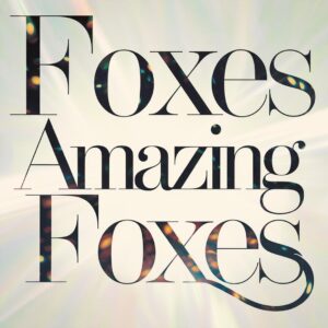 SF1116125 – Foxes – Amazing