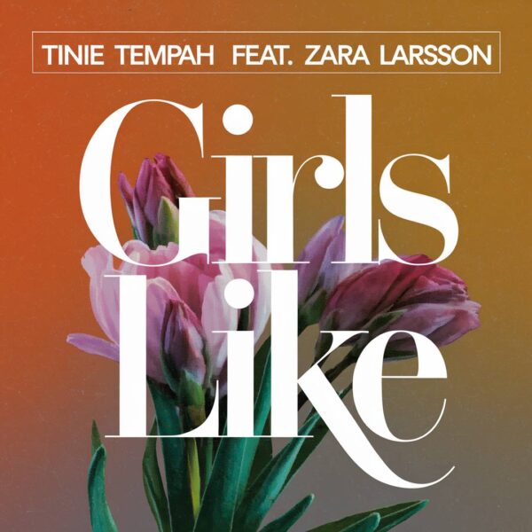 Tinie Tempah - Girls Like