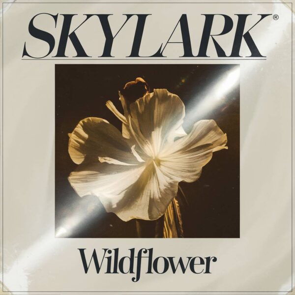 Skylark - Wildflower
