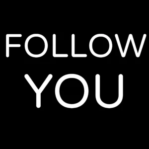 SF1116313-Bring-Me-The-Horizon-Follow-You