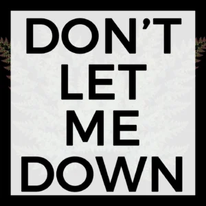 SF1116364-The-Chainsmokers-Feat.-Daya-Don_t-Let-Me-Down