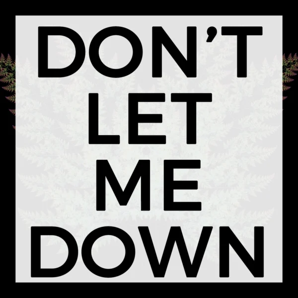 The Chainsmokers - Don't Let Me Down