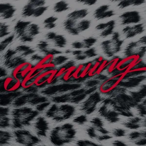 SF1117776-Hailee-Steinfeld-_-Grey-Feat.-Zedd-Starving