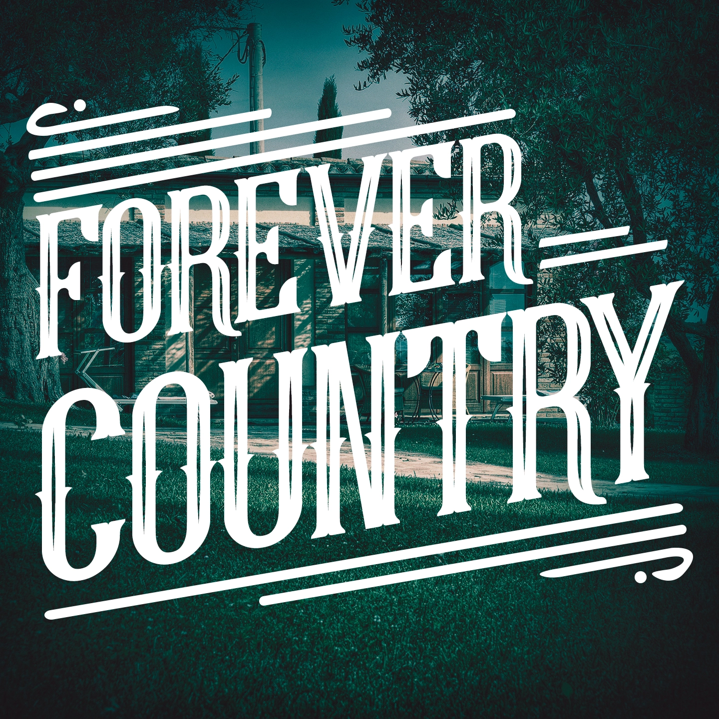 Artists Of Then - Forever Country