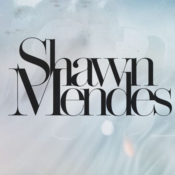 Shawn Mendes - Mercy