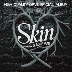 SF1118260 – Rag ‘n’ Bone Man – Skin