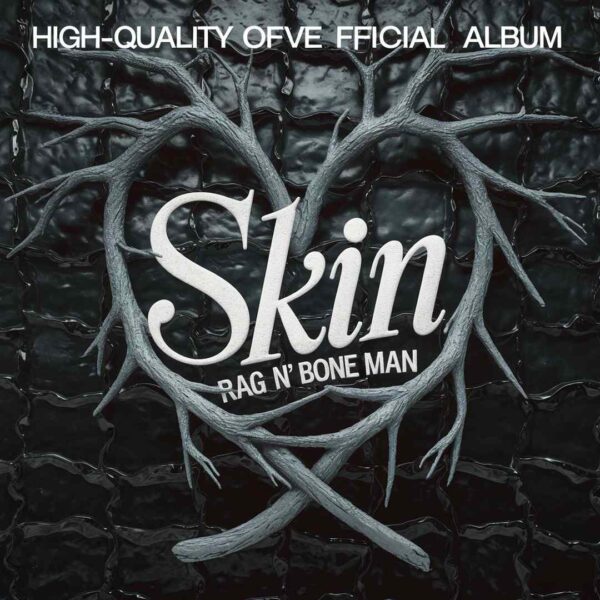 Rag 'n' Bone Man - Skin