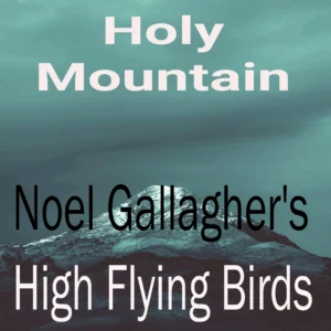 SF1119111-Noel-Gallagher_s-High-Flying-Birds-Holy-Mountain