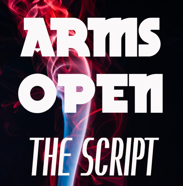 The Script - Arms Open