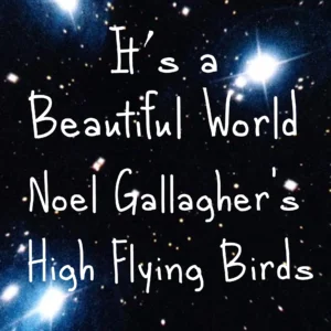SF1119177-Noel-Gallagher_s-High-Flying-Birds-It_s-A-Beautiful-World