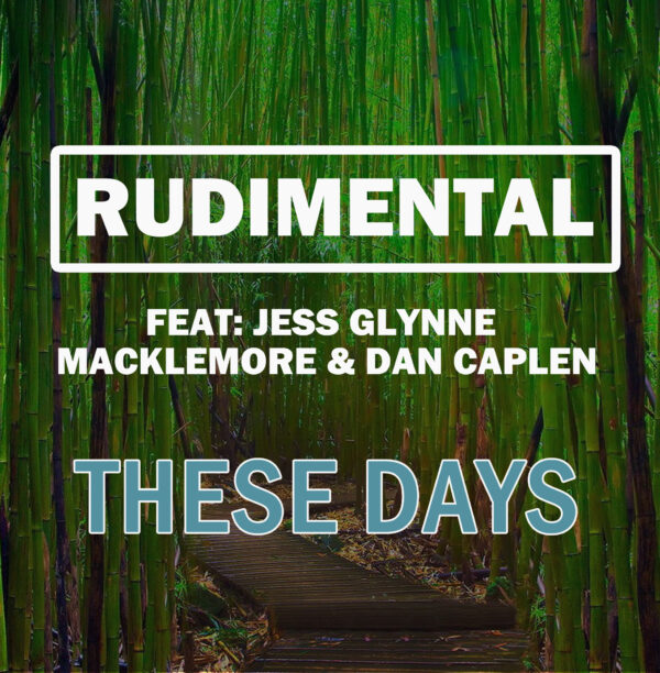 Rudimental - These Days