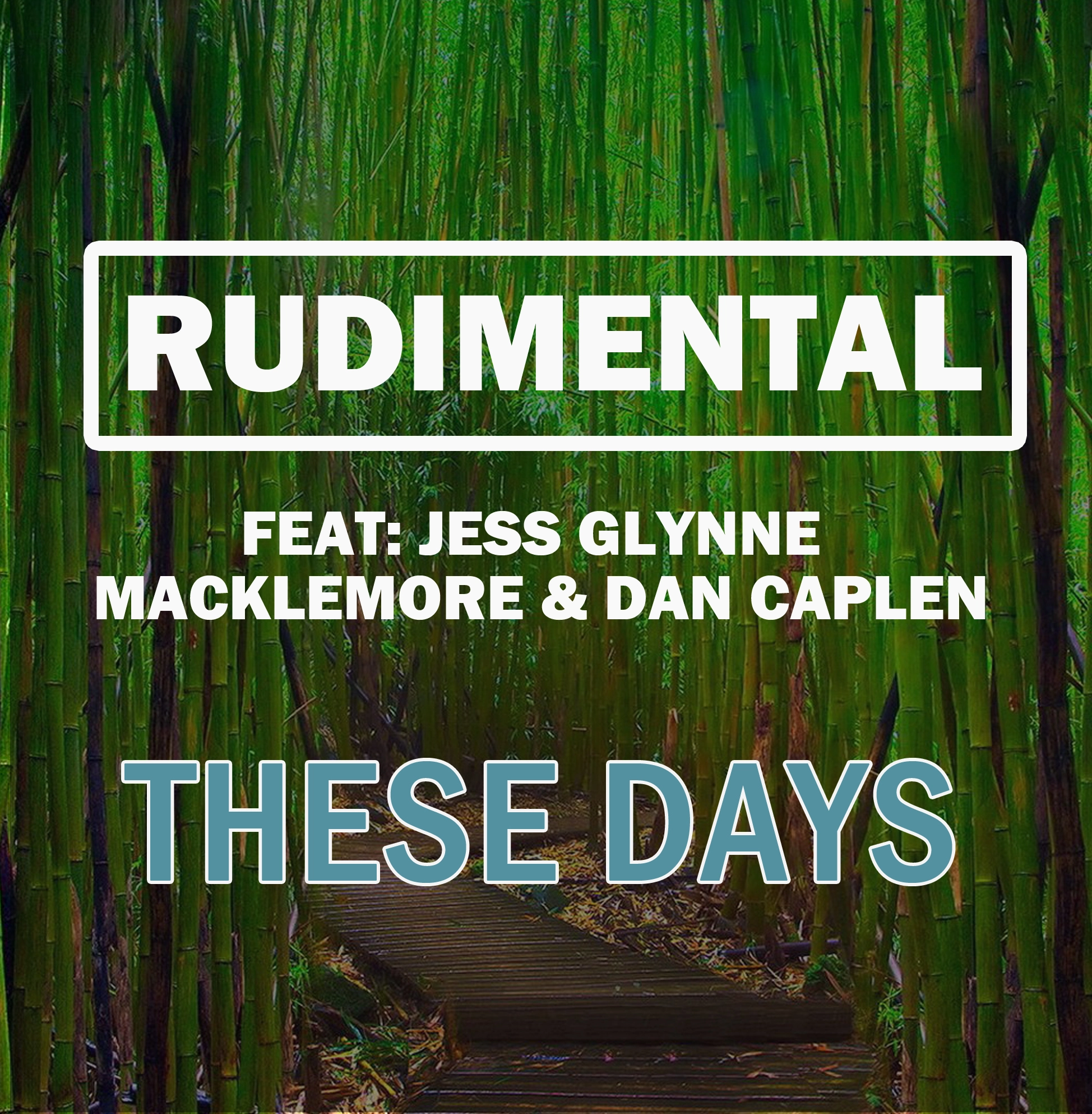 Rudimental - These Days