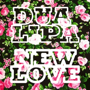 SF1119192-Dua-Lipa-New-Love