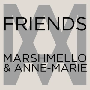 SF1119196-Marshmello-_-Anne-Marie-Friends