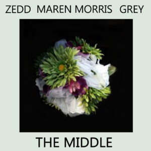 SF1119238 – Zedd – The Middle