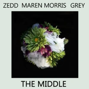 SF1119238-Zedd-The-Middle