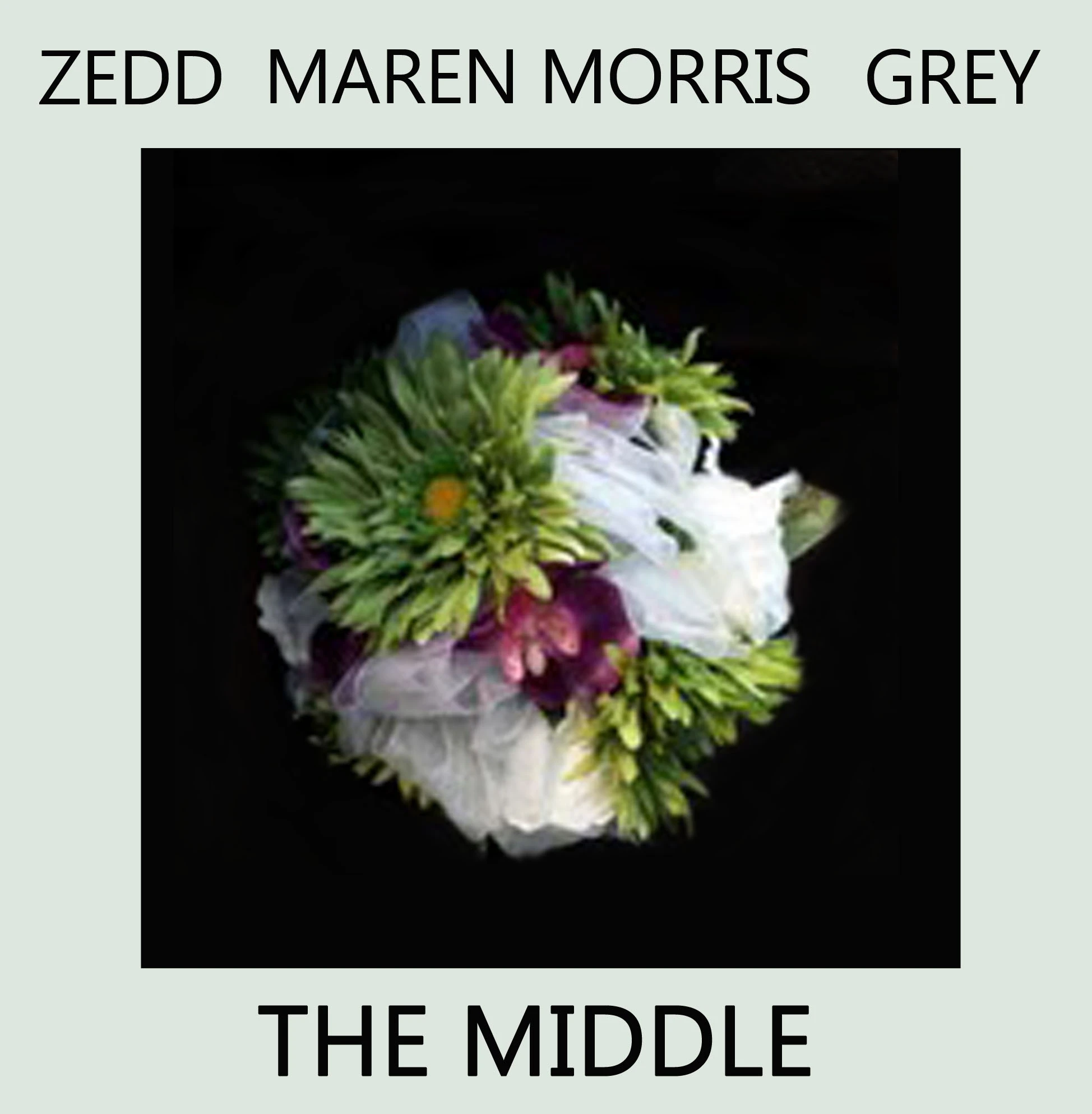Zedd - The Middle