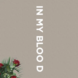SF1119248-Shawn-Mendes-In-My-Blood